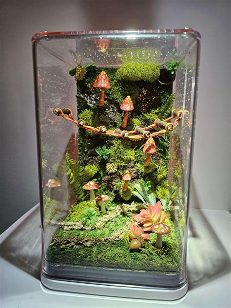 glass metal spider enclosure|Geometric Glass Jumping Spider Enclosure Terrarium with LED .